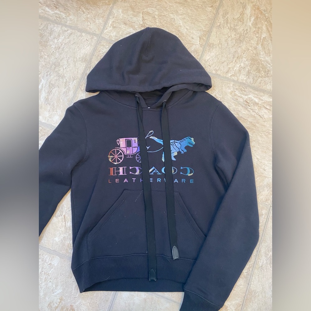 COACH🤩Mirrored Rexy & Carriage Satin Stitch Sweatshirt, XS - Picture 9 of 10